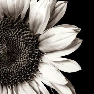 Meet your Posher, Ali